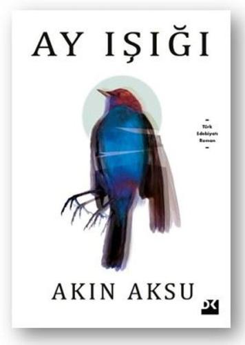 Kitap Ambarı