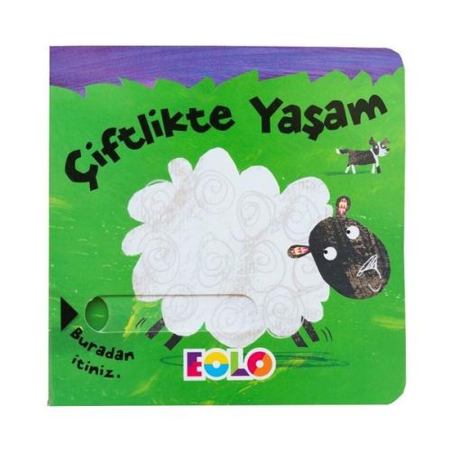 Kitap Ambarı