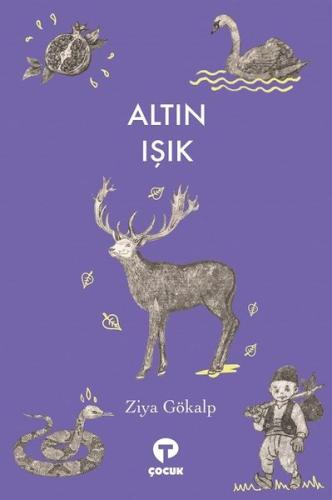 Kitap Ambarı