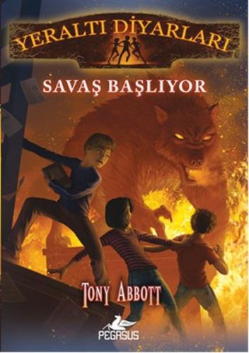 Kitap Ambarı