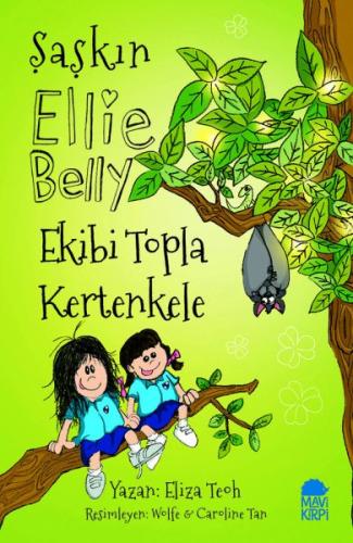 Kitap Ambarı