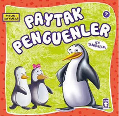 Paytak Penguenler İle Tanışalım Sevimli Hayvanlar