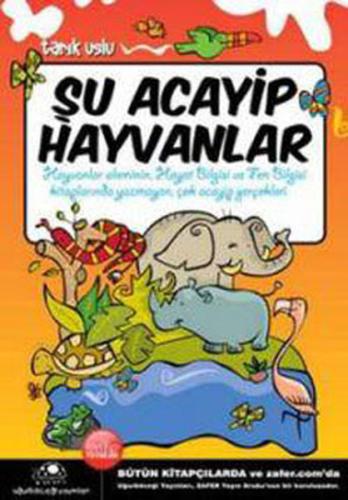 Kitap Ambarı