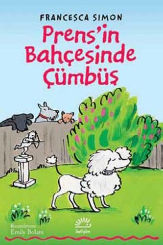 Kitap Ambarı