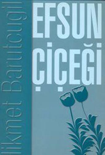 Kitap Ambarı