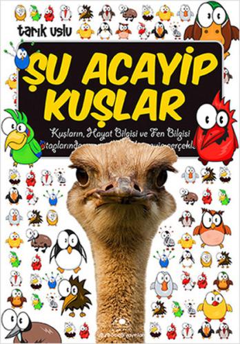 Kitap Ambarı