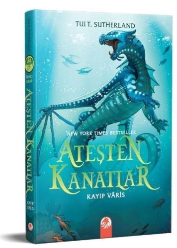Kitap Ambarı