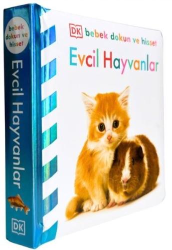 Kitap Ambarı