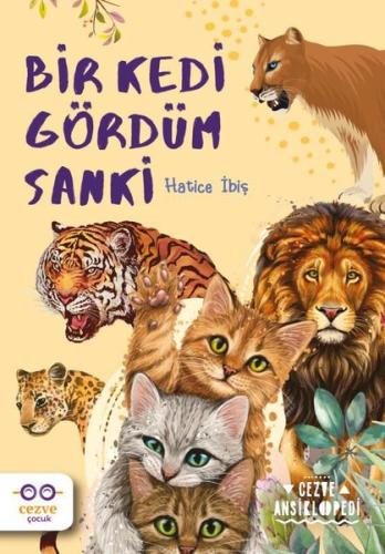 Kitap Ambarı