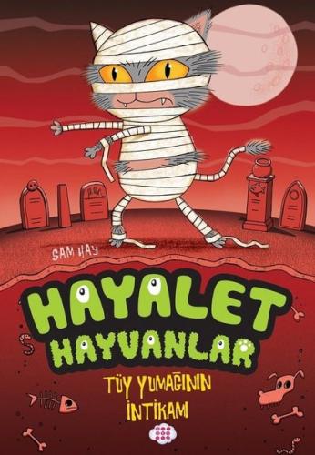 Kitap Ambarı
