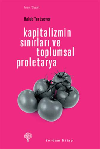 KAPİTALİZMİN SINIRLARI VE TOPLUMSAL PROLETARYA