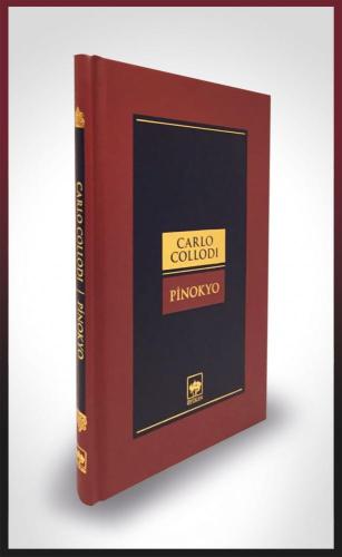 Kitap Ambarı
