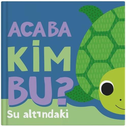 Kitap Ambarı