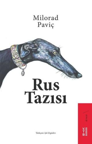 Kitap Ambarı