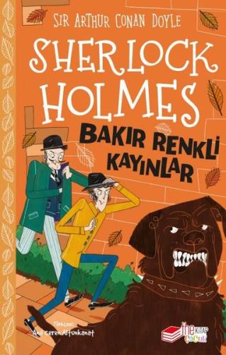 Kitap Ambarı