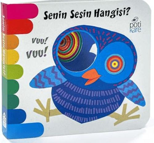 Senin Sesin Hangisi