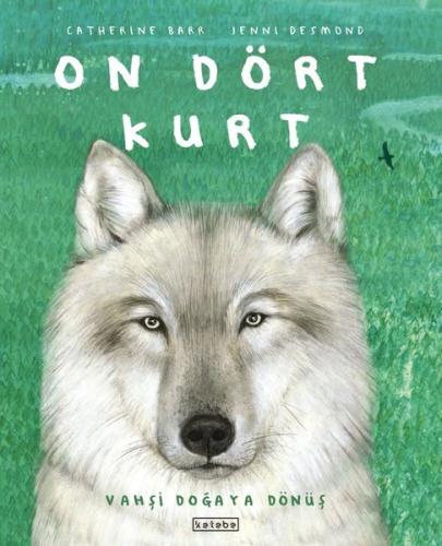 Kitap Ambarı