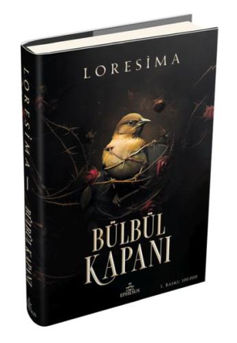 Kitap Ambarı