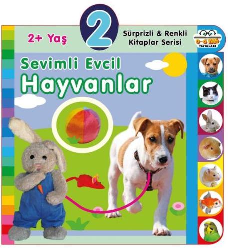 Kitap Ambarı