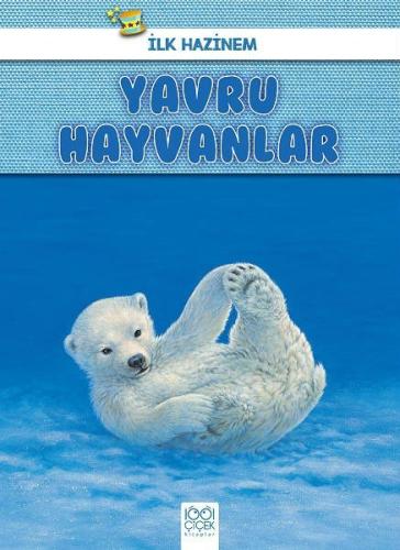 Kitap Ambarı