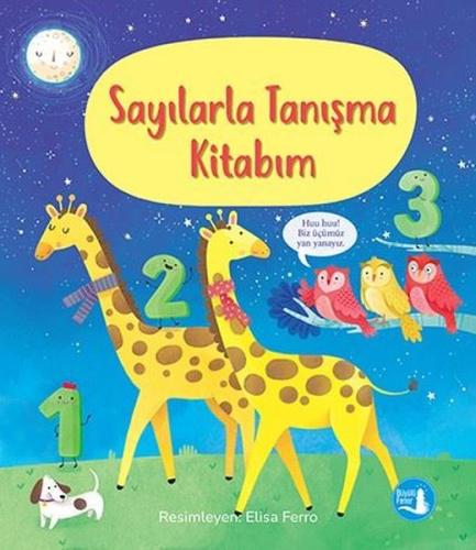 Kitap Ambarı
