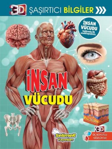 3D Şaşırtıcı Bilgiler İnsan Vücudu