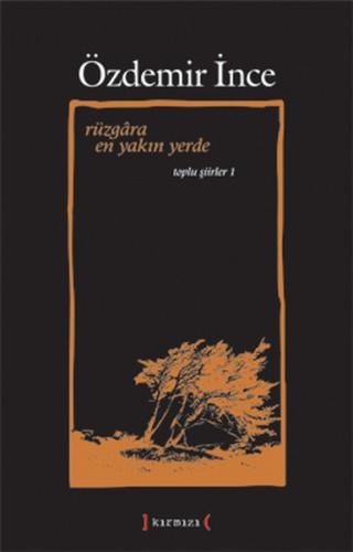 Rüzgara En Yakın Yerde Toplu Şiirler 1