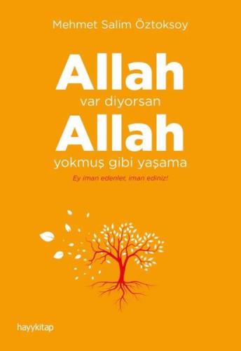 Kitap Ambarı