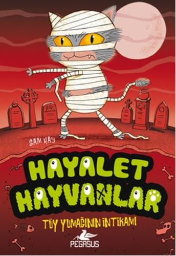 Kitap Ambarı