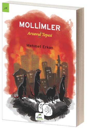 Kitap Ambarı