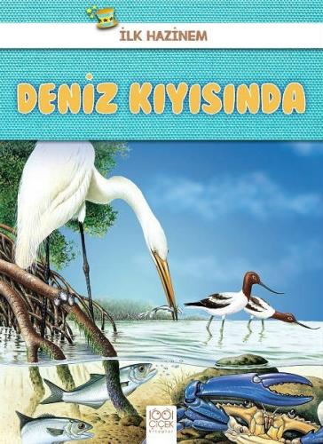 Kitap Ambarı