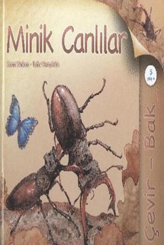 Kitap Ambarı