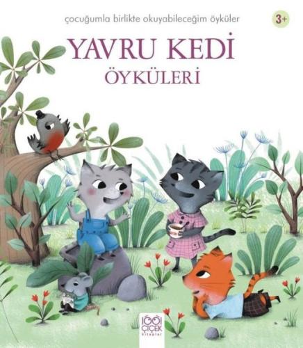 Kitap Ambarı