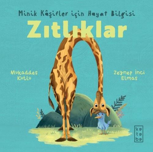 Kitap Ambarı