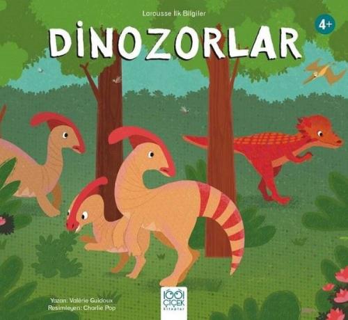 Kitap Ambarı