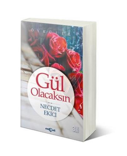 Kitap Ambarı