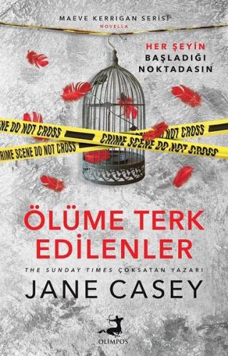 Kitap Ambarı