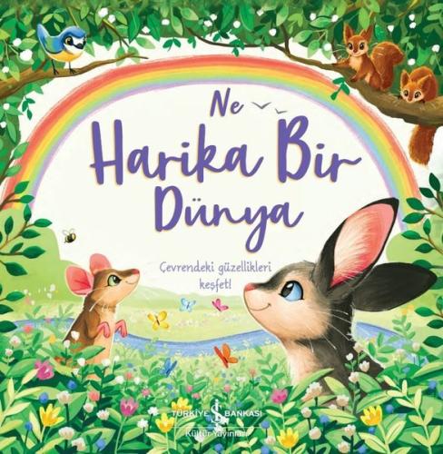 Kitap Ambarı