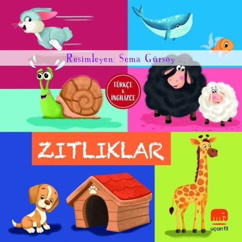 Kitap Ambarı