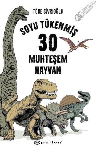 Kitap Ambarı