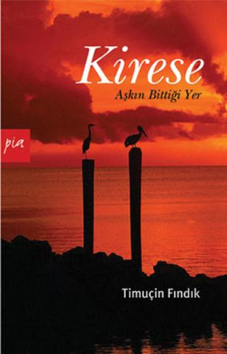 Kitap Ambarı