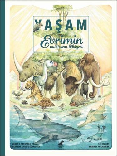 Kitap Ambarı