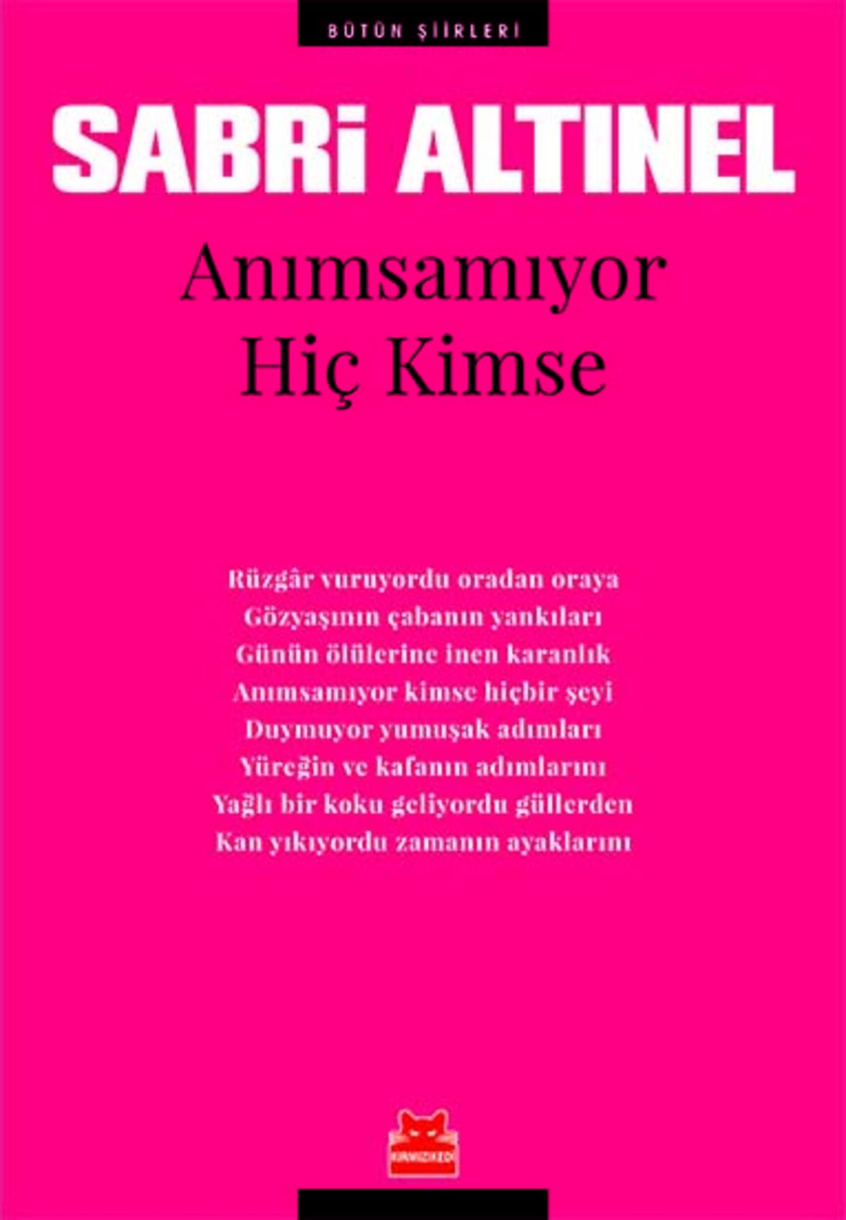 Kırmızı Kedi