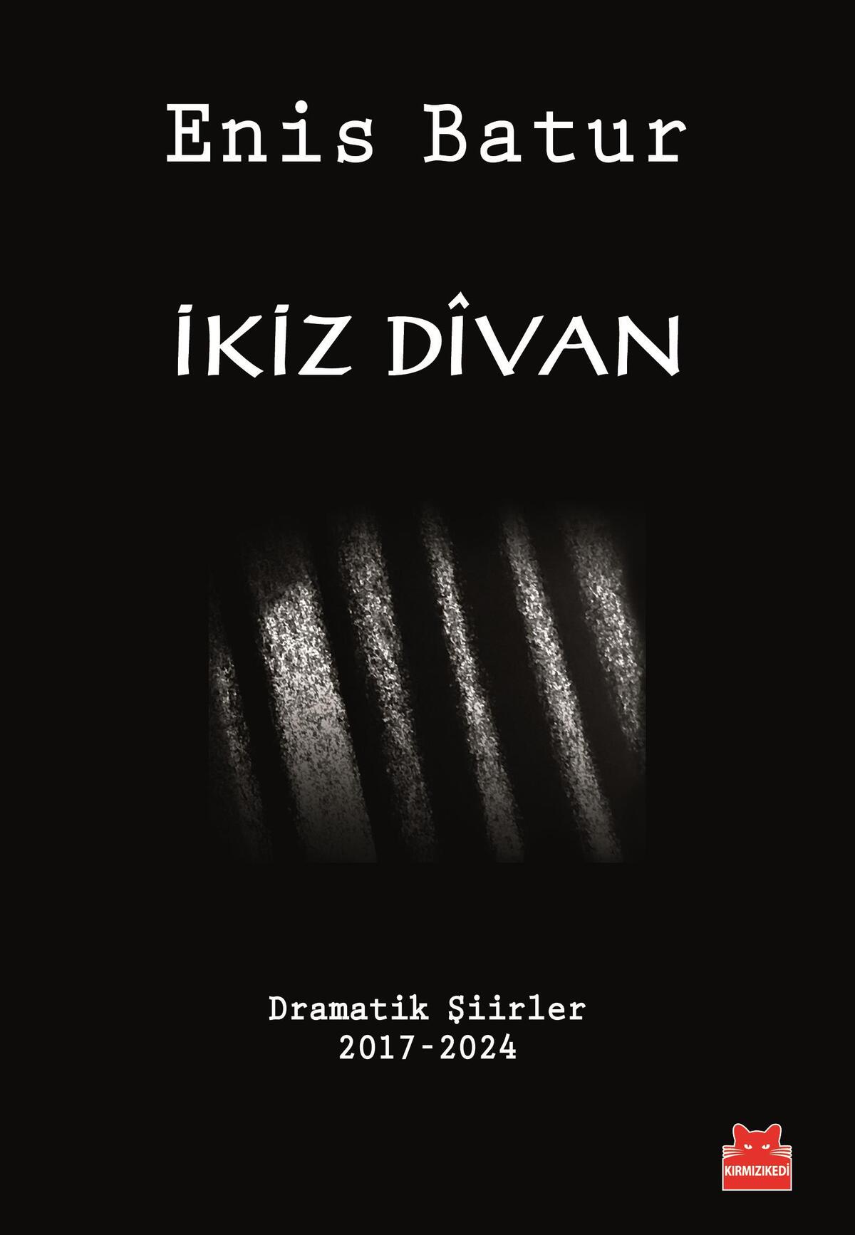 Kırmızı Kedi