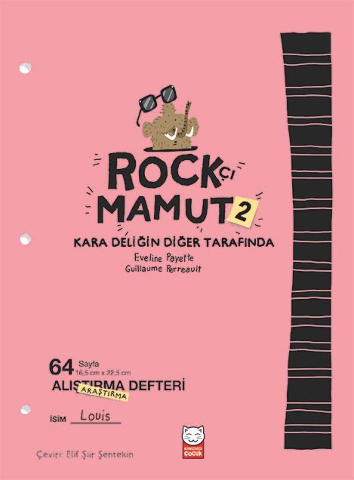 Kırmızı Kedi