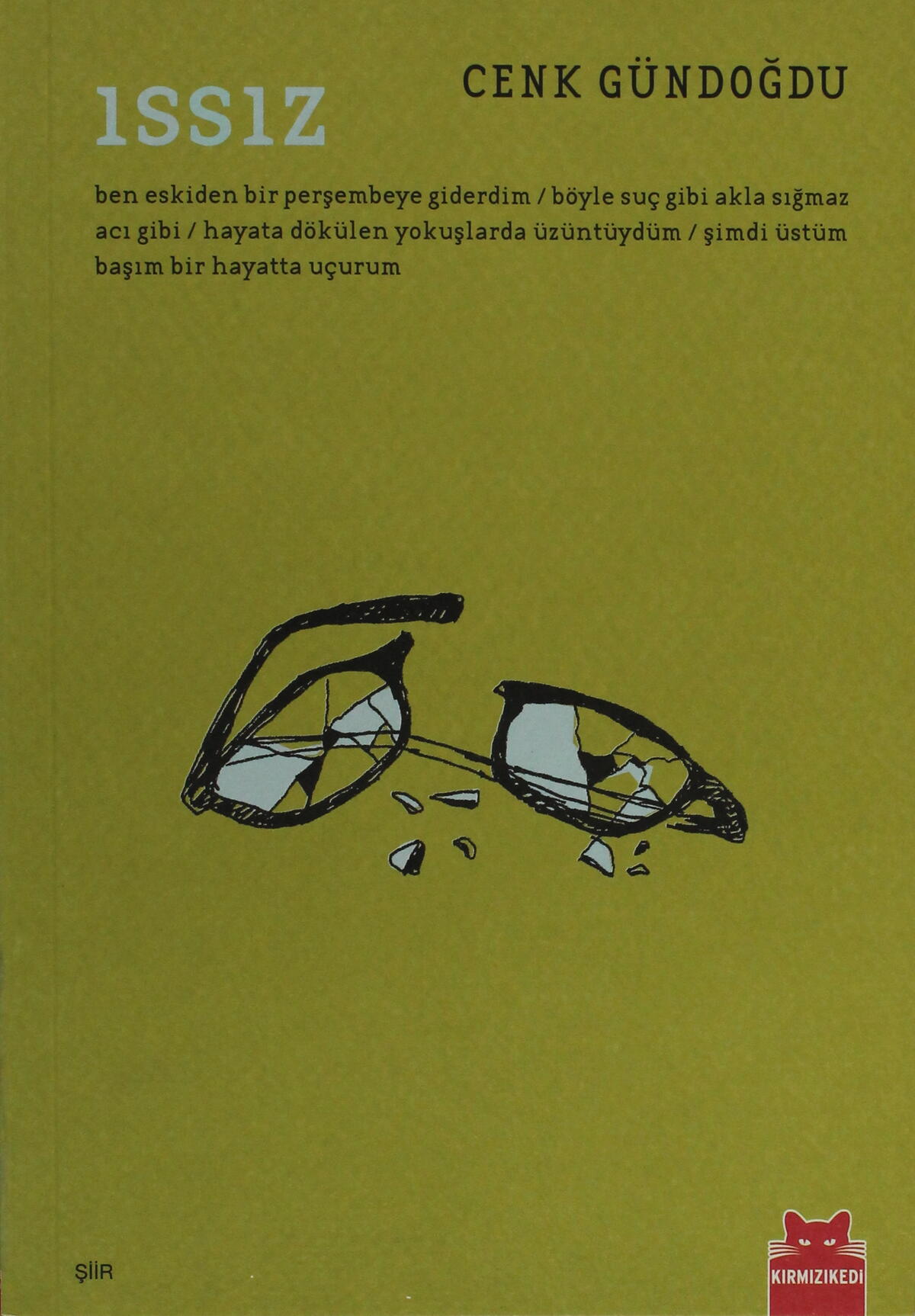 Kırmızı Kedi