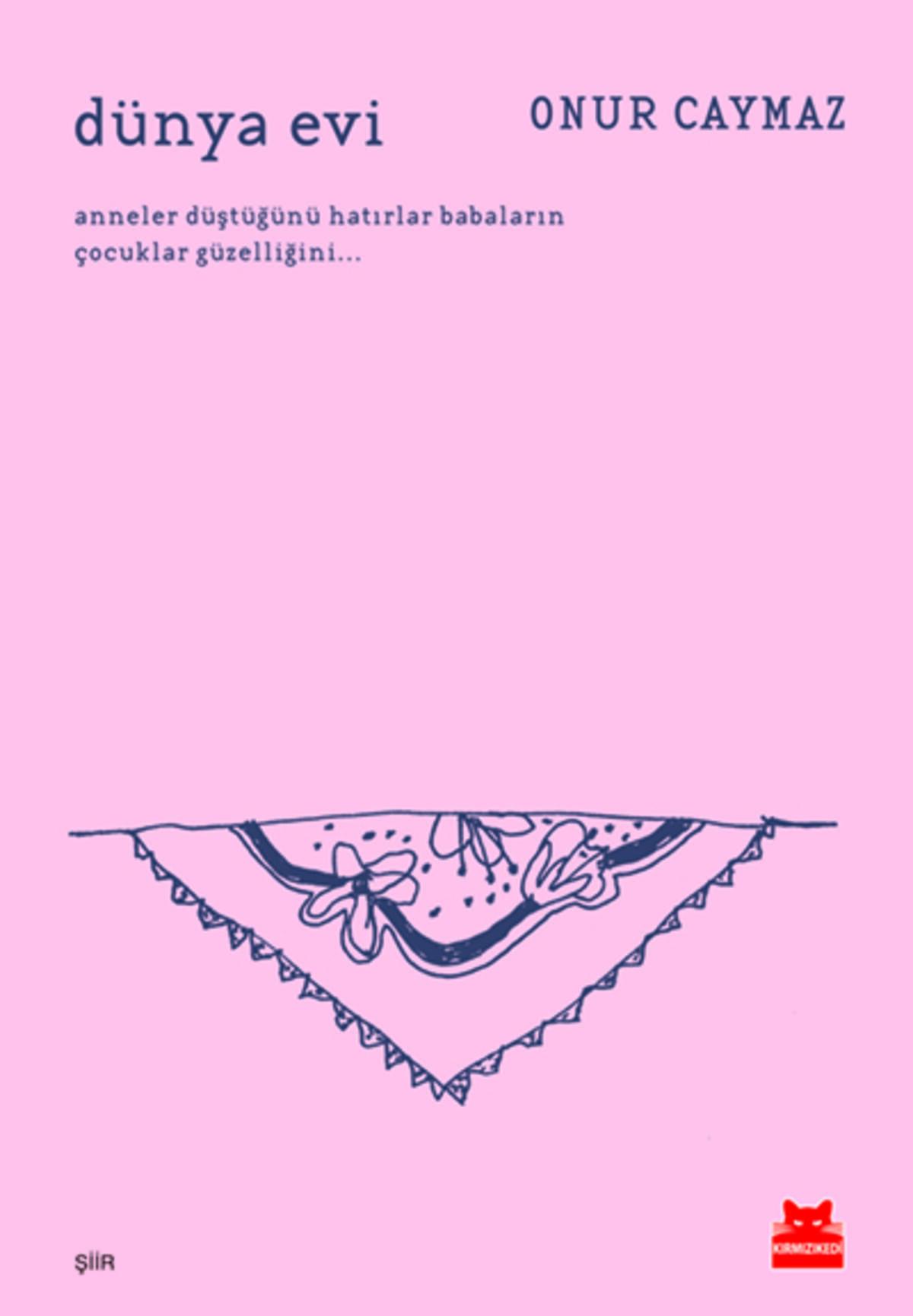 Kırmızı Kedi