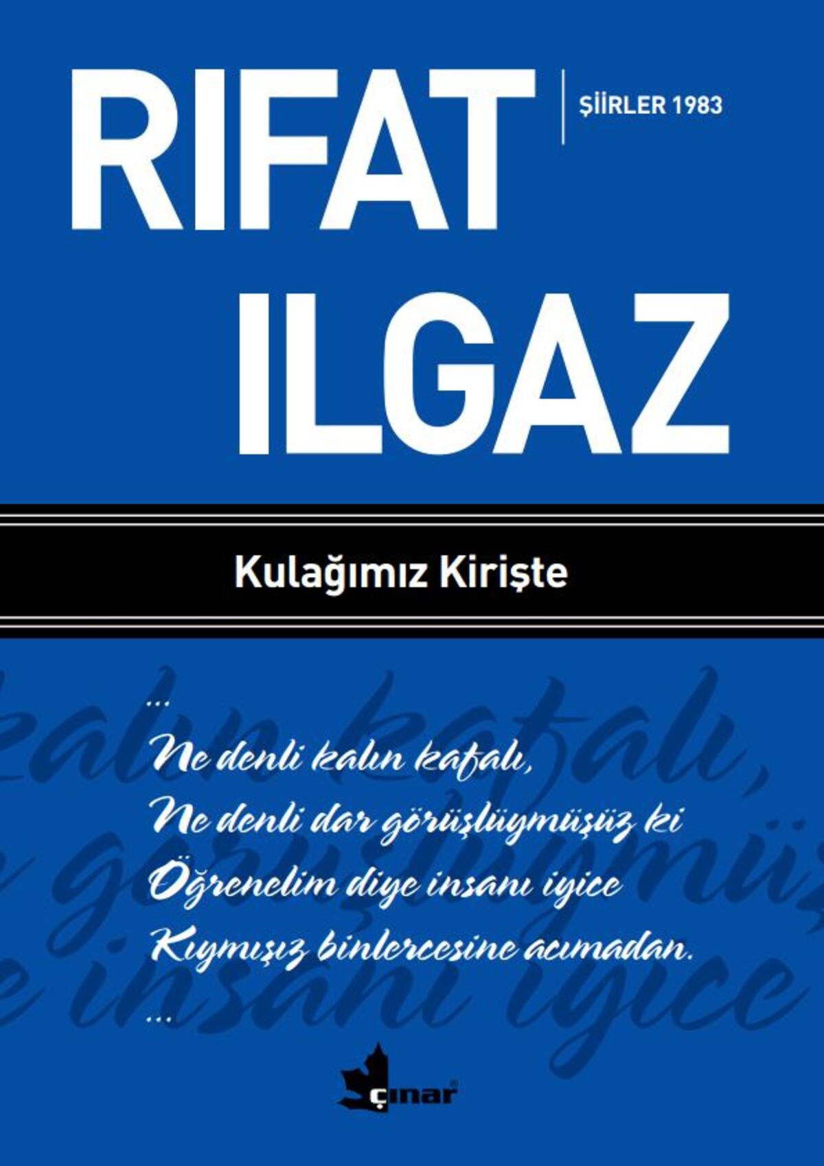 Kırmızı Kedi