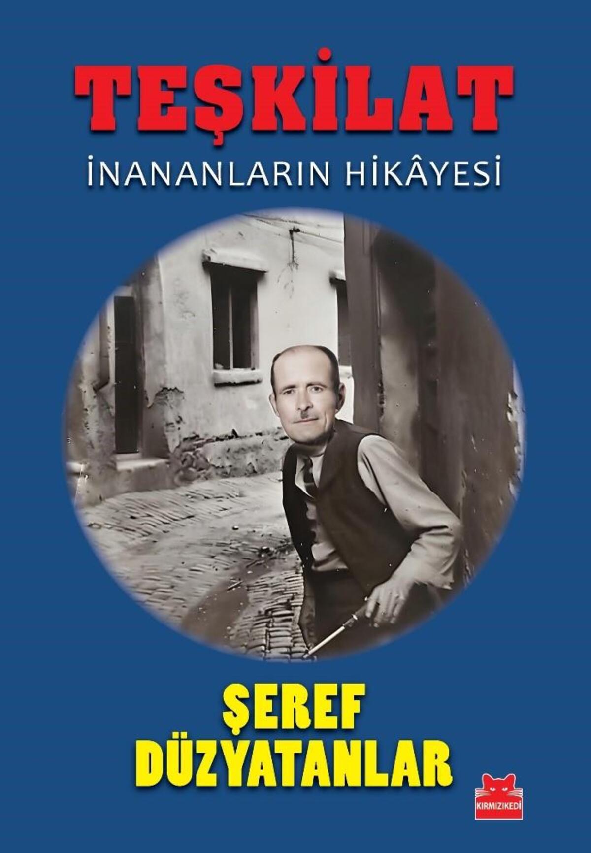 Kırmızı Kedi