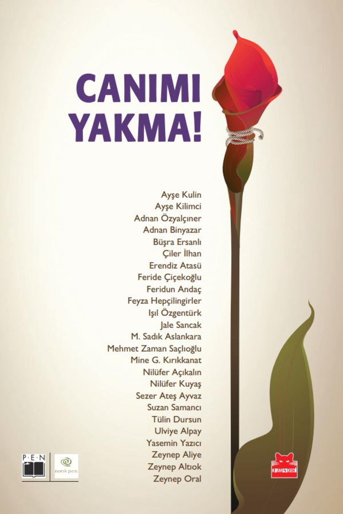 Kırmızı Kedi